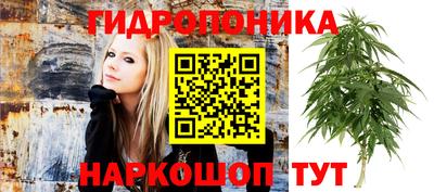 соль ск Наро-Фоминск