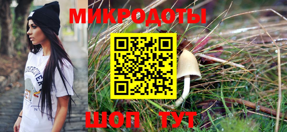 закладка  Вход с VPN  Галлюциногенные грибы ЛСД  Фурманов  Псилоцибиновые грибы Psilocybe 