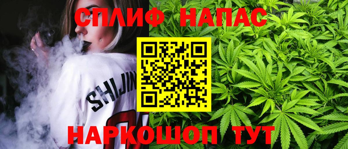 Бошки Шишки ГИДРОПОН Фурманов